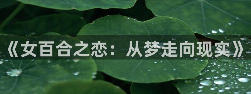 buding.布丁动漫com：《女百合之恋：从梦走向现实》